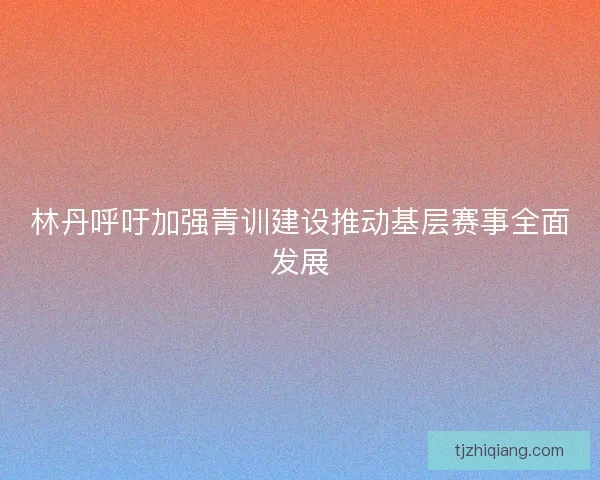 林丹呼吁加强青训建设推动基层赛事全面发展